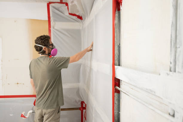 Best Mold Odor Removal Services  in Egon City, OR