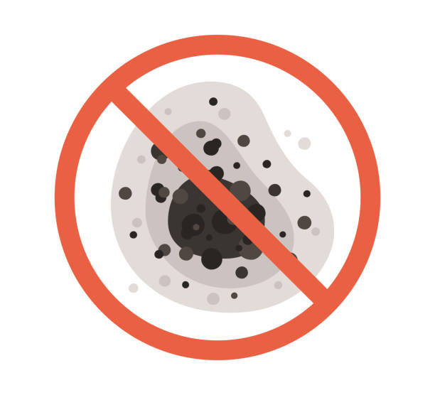 Best Attic Mold Removal  in Egon City, OR